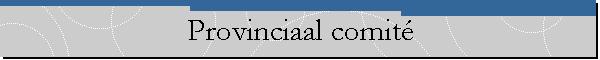 Provinciaal comit