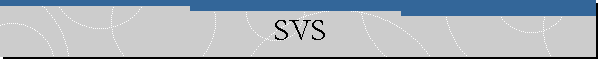 SVS